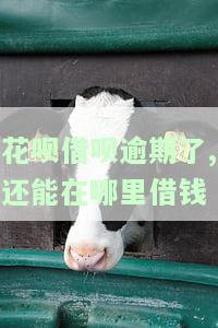 花呗借呗逾期了支付宝还能正常使用吗