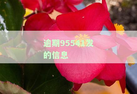 ‘95541发短信说逾期’