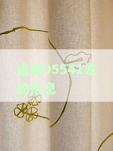 逾期95541发的信息