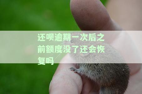 还呗逾期一次后额度恢复吗