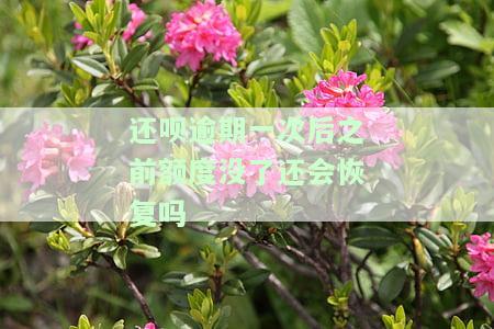 还呗逾期一次后之前额度没了还会恢复吗