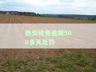 税务逾期处罚标准及相关规定