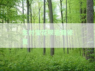 支付宝花呗逾期修复后花呗可以用吗，安全吗？如何修复？是否会还上征信？修复后额度何时提升？