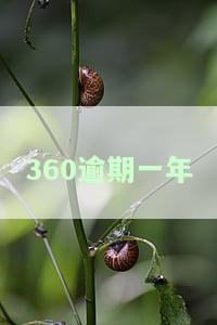 360逾期一年后再还完征信还会有问题吗？