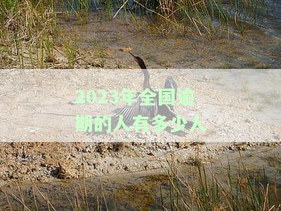 今年逾期人数过多导致银行贷款被拒，2021年逾期的人数