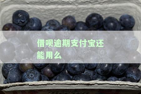 支付宝借呗逾期还款后还能继续使用吗