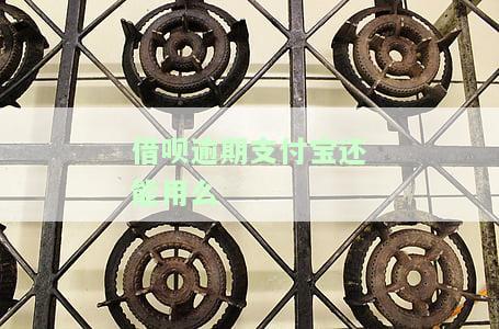 借呗逾期支付宝还能用么
