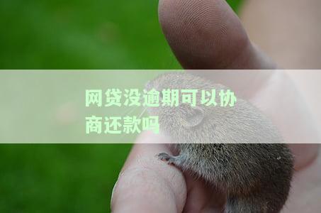 网贷还不上可以协商慢慢还吗怎么解决