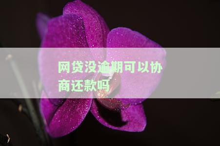 停息挂账自己怎么去申请及相关还款解决方法
