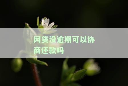 网贷真的可以协商期还款吗？