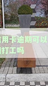 欠信用卡可以出国旅游吗