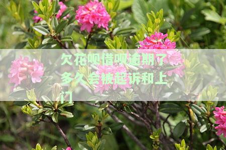 欠花呗借呗逾期多久会被起诉和上门贴吧？