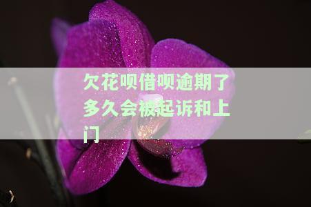 欠花呗借呗逾期了多久会被起诉和上门