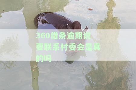 暂时还不上怎么解决-借钱的平台100%能借到，借钱亲身经历