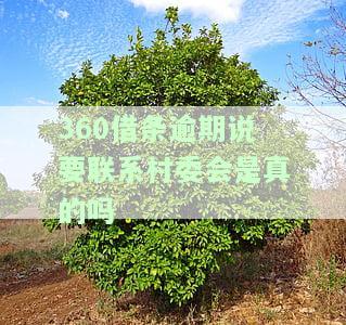 逾期10天要给村委会打电话是真的吗