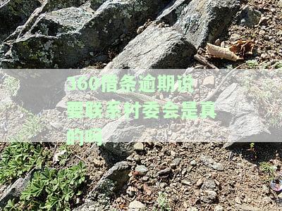 预期说要联系村委会