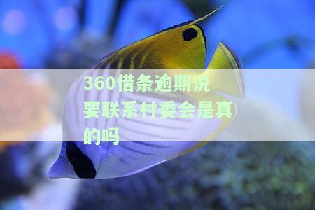 借钱不还会不会打电话到村委会