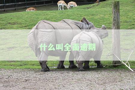 什么叫全面逾期信用卡及后果
