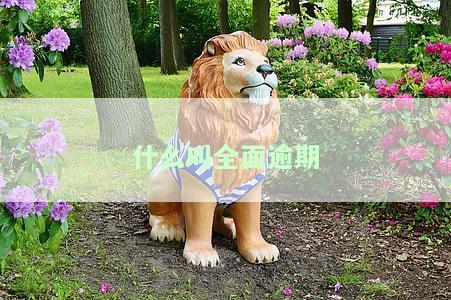 全面逾期什么意思及其处理方式