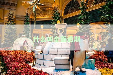 全面逾期可怕吗，该怎么办？