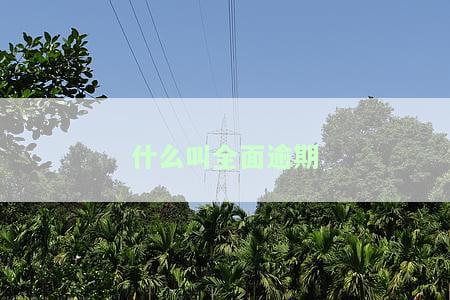 全面逾期的最结局2020：网贷和信用卡的房产