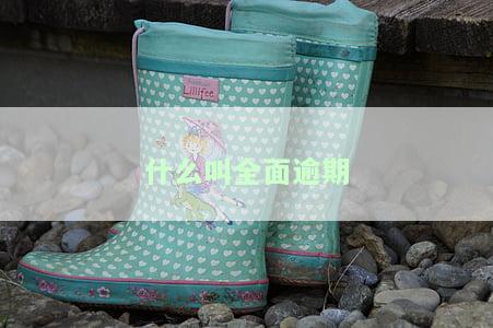 什么叫全面逾期