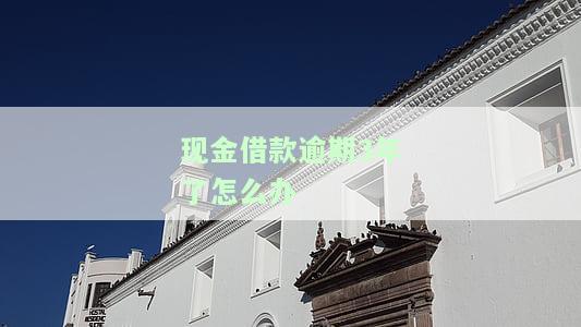 现金借款逾期3年了怎么办在线咨询、还款、协商申请