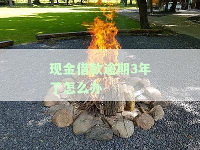 现金借款逾期3年了怎么办啊，还能借吗，还了信用能恢复吗？