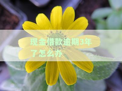 现金借款逾期3年了怎么办