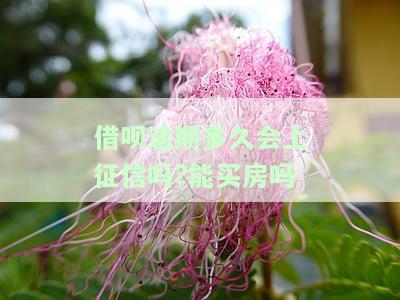 借呗逾期多久会上征信吗？能买房吗？有影响吗？
