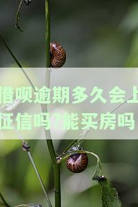 借呗逾期多久上征信影响房贷吗？