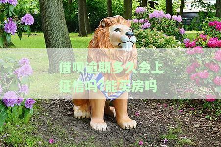 借呗逾期多久就会上征信