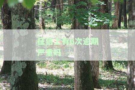 征信上有6次逾期严重吗能贷款吗