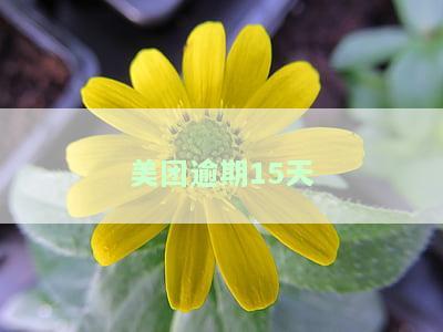 美团逾期15天