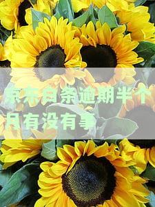 逾期半年后还清了，还可以使用吗？