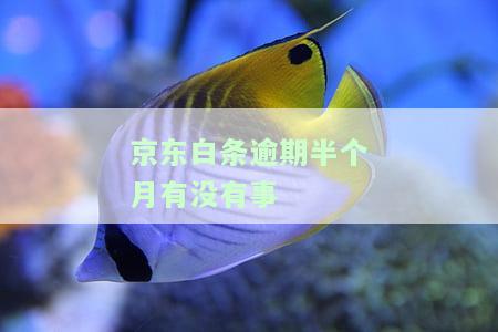 逾期半个月了会对贷款影响吗？