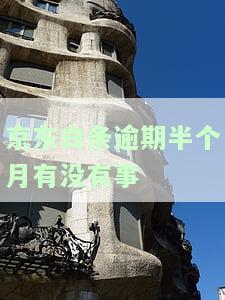 逾期半个月会有什么后果？