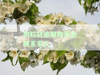 微粒贷逾期四天会不会打电话给家人朋友