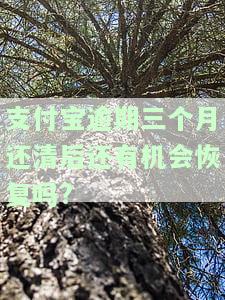 支付宝逾期三个月还清后还有机会恢复吗