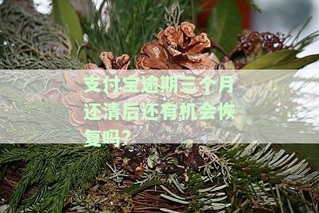 支付宝逾期三个月后还有机会恢复吗？