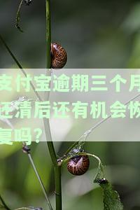 支付宝逾期三个月还清后还有机会恢复吗安全吗