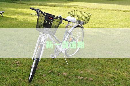 新一贷逾期多久会强制还款