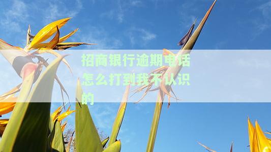 招商银行逾期电话怎么打到我不认识的