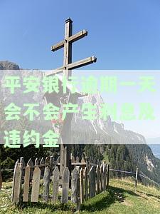 平安银行逾期一天还款对信用有影响吗2021年12月还款会不会影响信用？