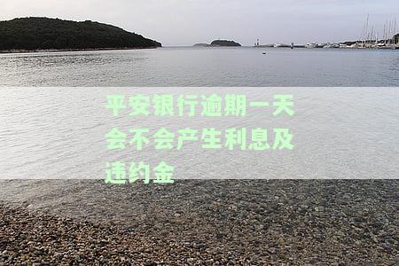平安银行贷款逾期一天还款对信用有影响吗