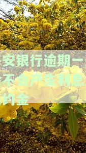 平安银行贷款逾期一天会上征信吗