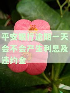 平安银行晚一天没还款会怎么样