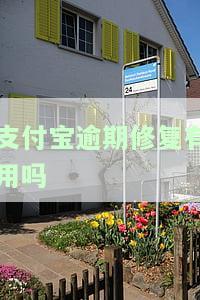 支付宝逾期修复有用吗安全吗及其可靠性？