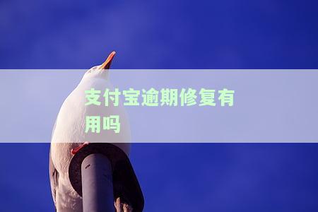 支付宝逾期修复可以修复多久的标题