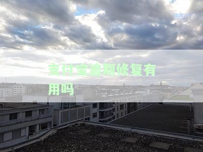 支付宝逾期修复有用吗